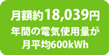 月額約17,713円年間の電気使用量が月平均600kWh