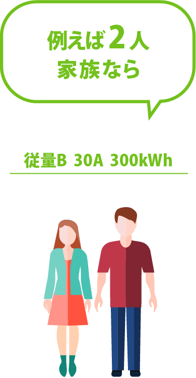 例えば 2人 家族なら従量B 30A 350kWh