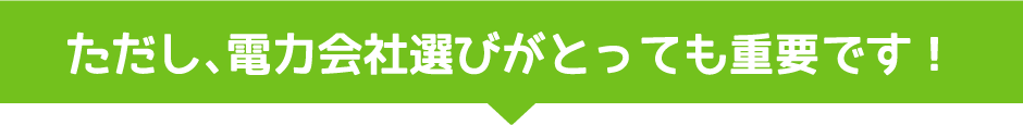 ただし、電力会社選びがとっても重要です！